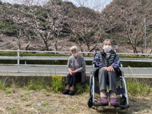 長崎市　小菅町　ひばり苑　お花見