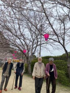 長崎市　小菅町　ひばり苑　お花見