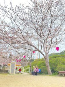 長崎市　小菅町　ひばり苑　お花見