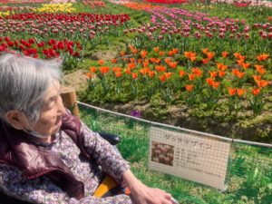 長崎市　小菅町　ひばり苑　チューリップ祭り