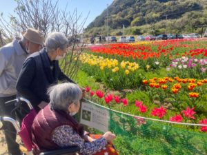 長崎市　小菅町　ひばり苑　チューリップ祭り