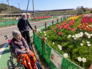 長崎市　小菅町　ひばり苑　チューリップ祭り