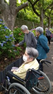 長崎市　小菅町　ひばり苑　あじさい